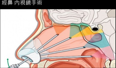 1050812自由時報 2