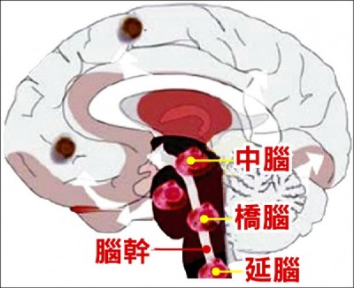 1050930自由時報 1